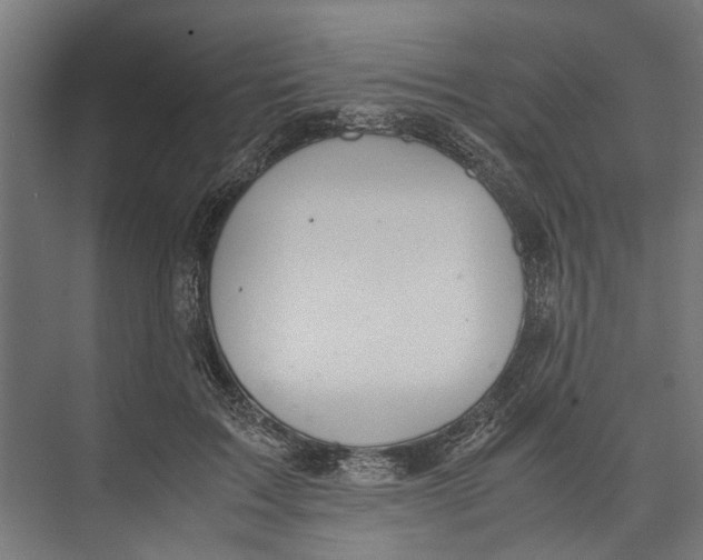 X0000071900603200608041345