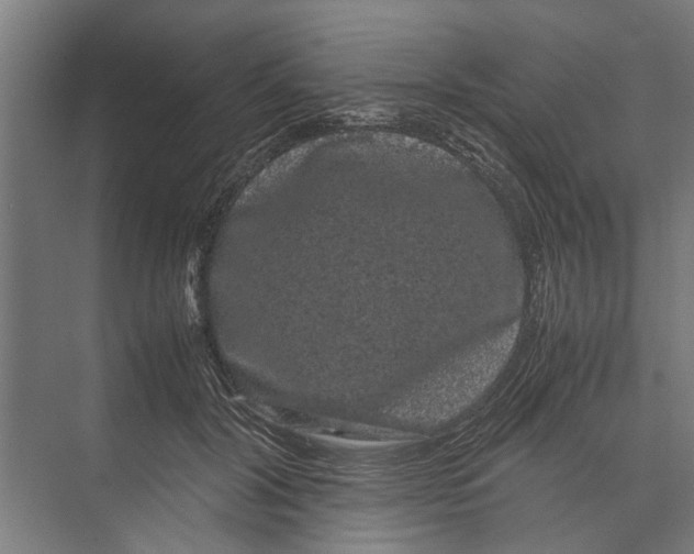 X0000071900604200608041345