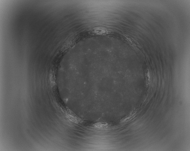 X0000071900606200608041345