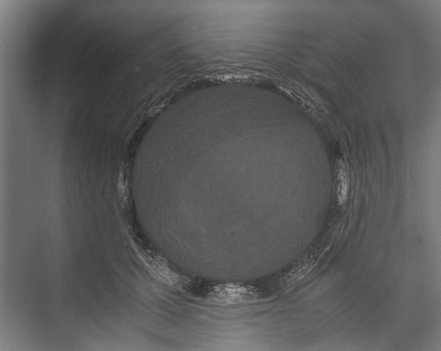 X0000071900607200608041345