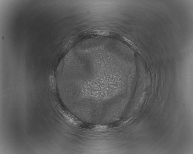 X0000071900609200608041345