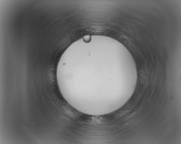 X0000071900612200608041344