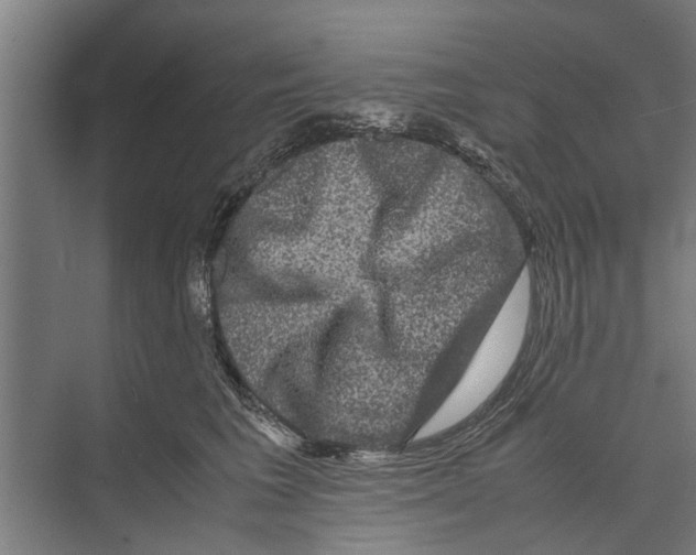 X0000071900613200608041344