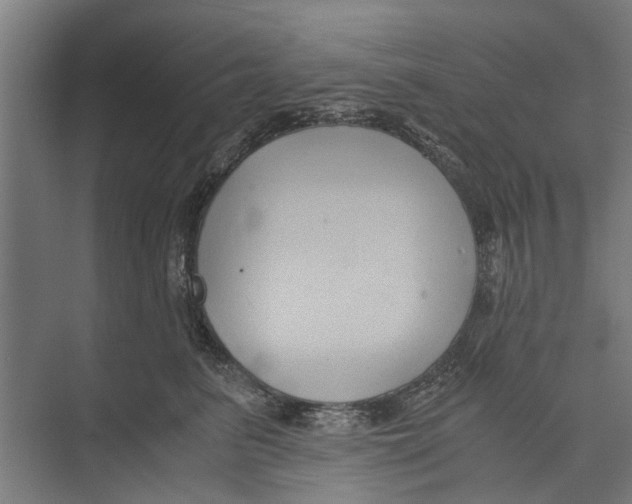 X0000071900615200608041344