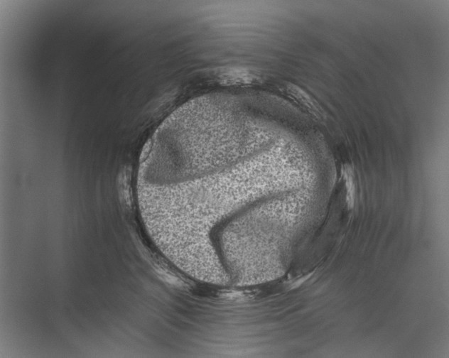 X0000071900616200608041344