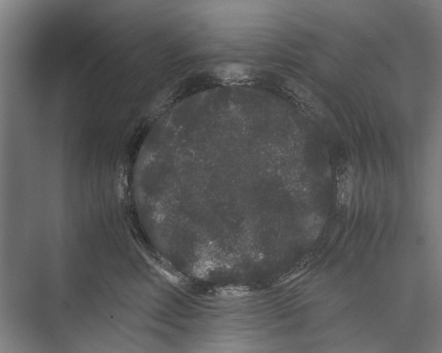 X0000071900618200608041344