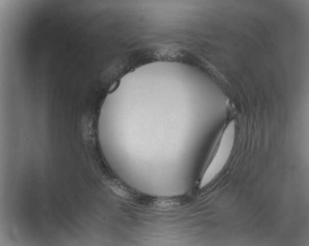 X0000071900619200608041344