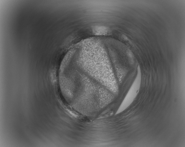 X0000071900620200608041344