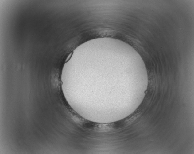 X0000071900622200608041344