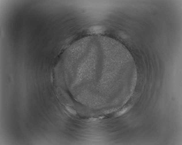 X0000071900624200608041344