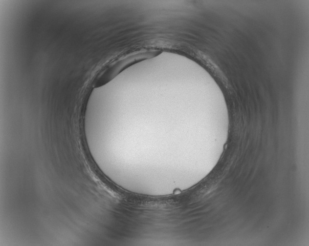 X0000071900625200608041343