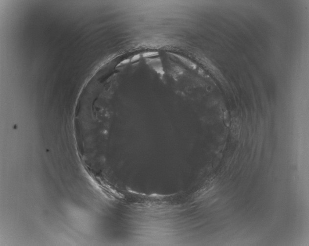 X0000071900626200608041343