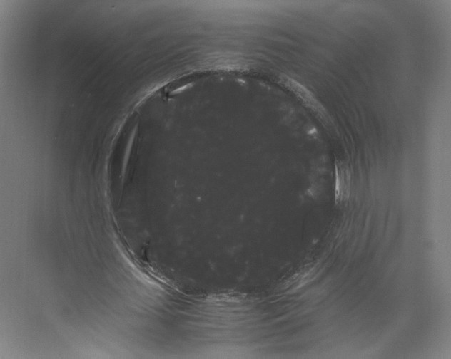 X0000071900627200608041344