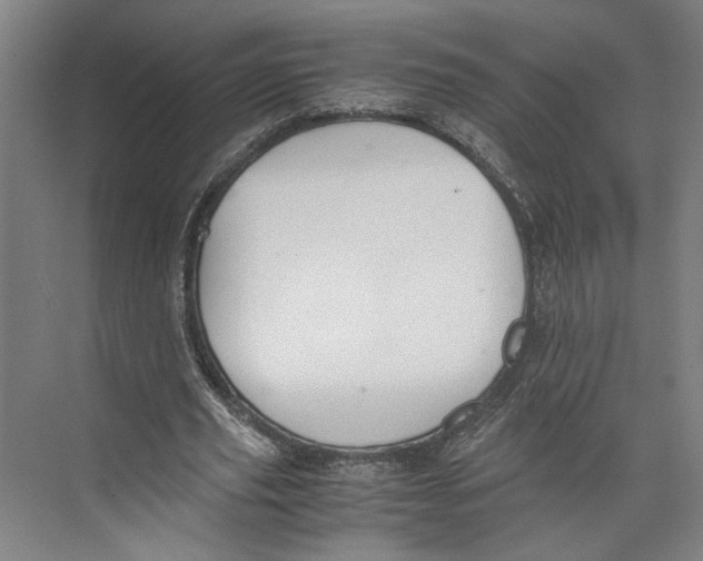 X0000071900629200608041344