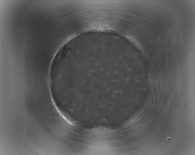 X0000071900630200608041344