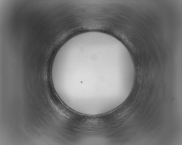 X0000071900631200608041344