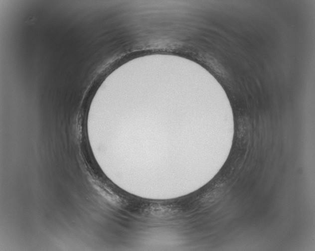 X0000071900632200608041344