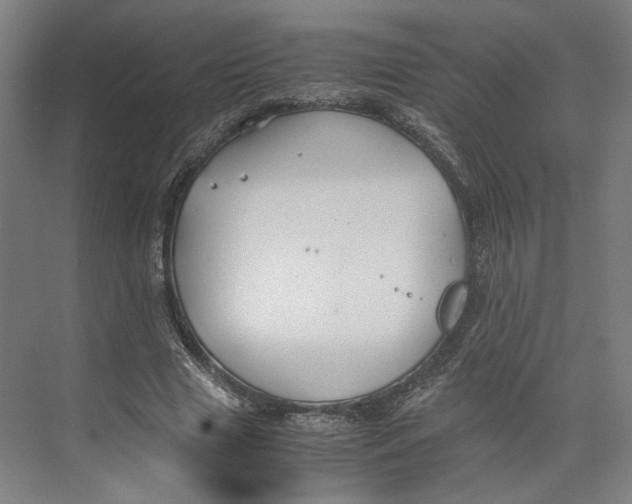 X0000071900633200608041344