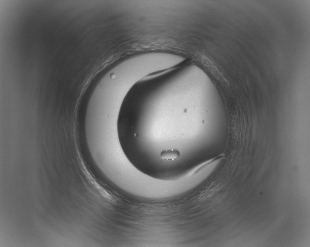 X0000071900634200608041344