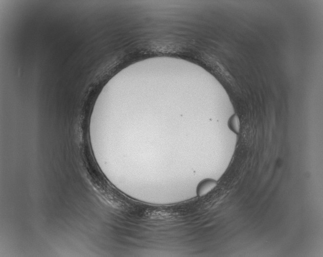 X0000071900635200608041344