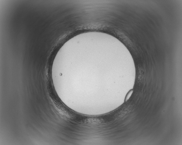 X0000071900636200608041344