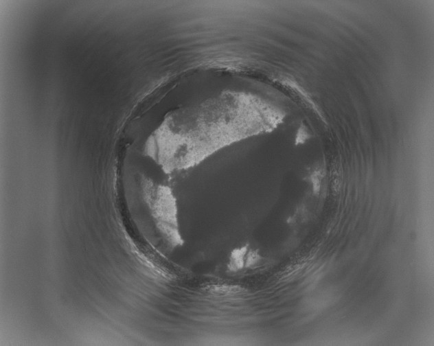 X0000071900637200608041344