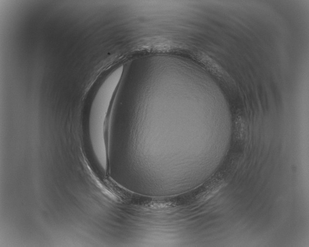 X0000071900638200608041344