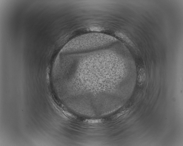 X0000071900639200608041344