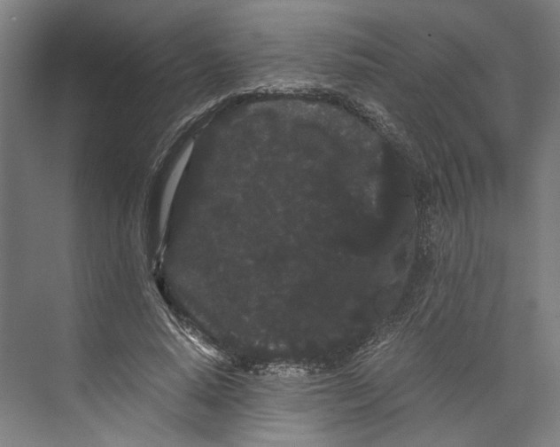 X0000071900640200608041344