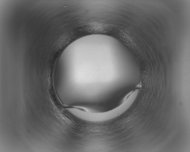 X0000071900642200608041344