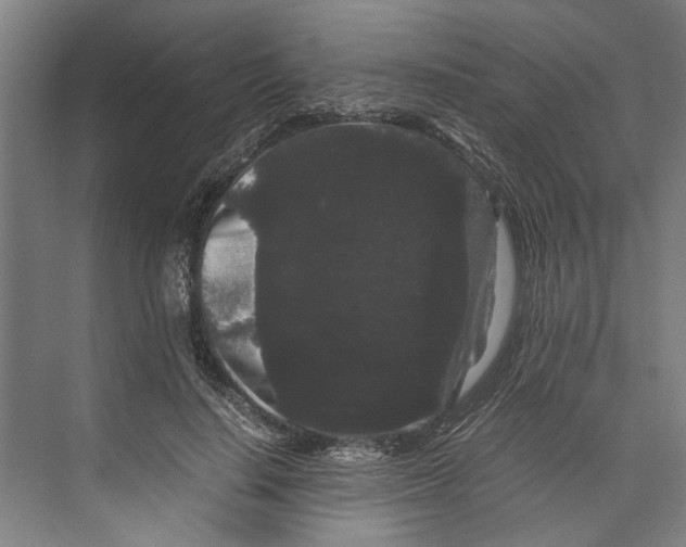 X0000071900644200608041344