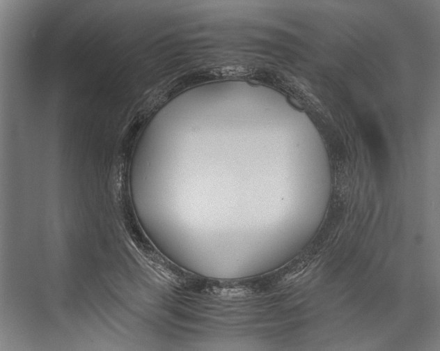 X0000071900645200608041344