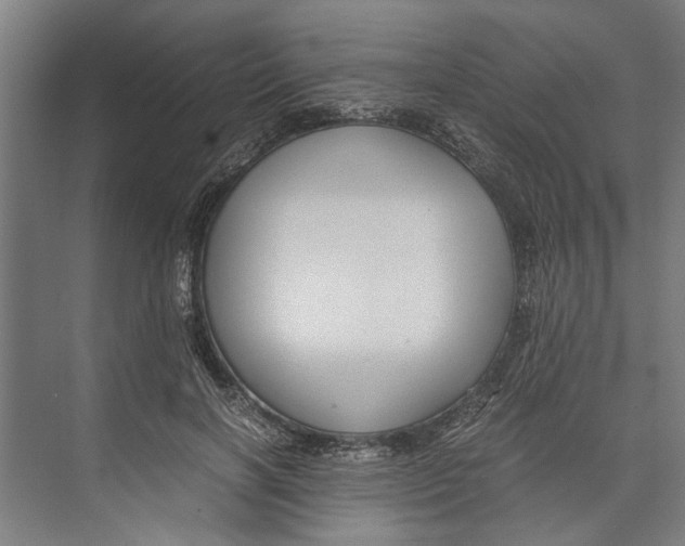 X0000071900646200608041344