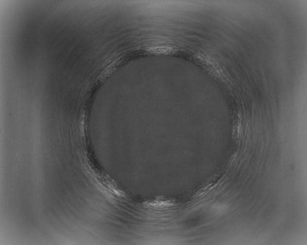 X0000071900647200608041344