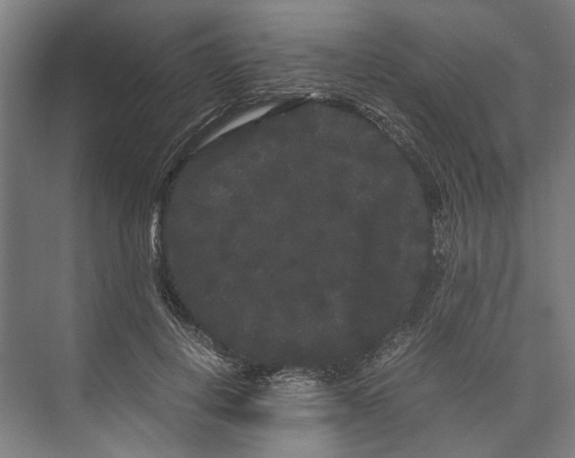 X0000071900648200608041344