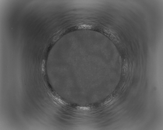 X0000071900649200608041344