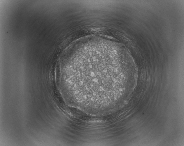 X0000071900651200608041344