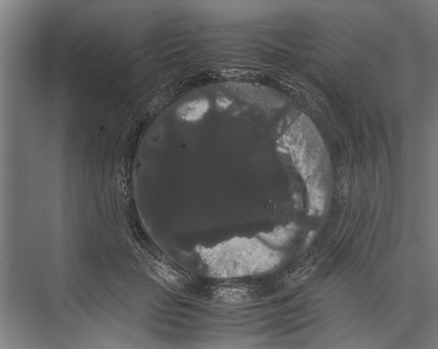 X0000071900653200608041344