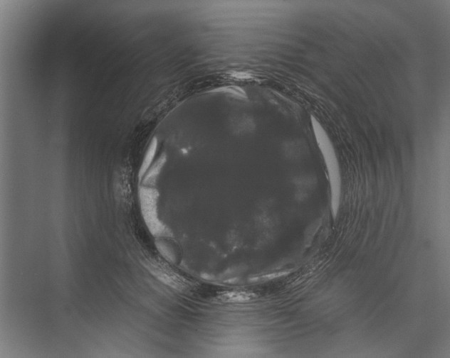 X0000071900654200608041344