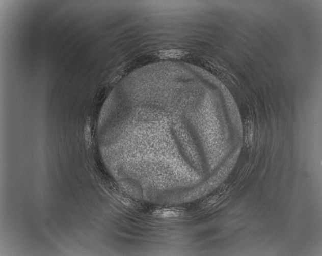 X0000071900655200608041344