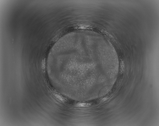 X0000071900657200608041344