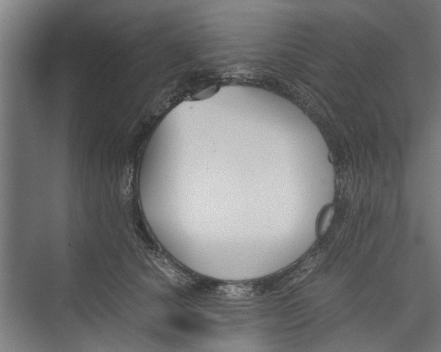 X0000071900660200608041344