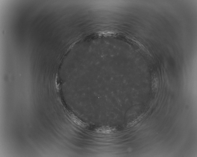 X0000071900661200608041344