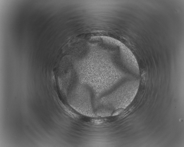 X0000071900662200608041344