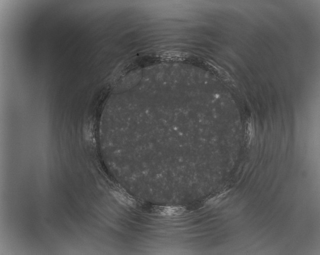 X0000071900663200608041344