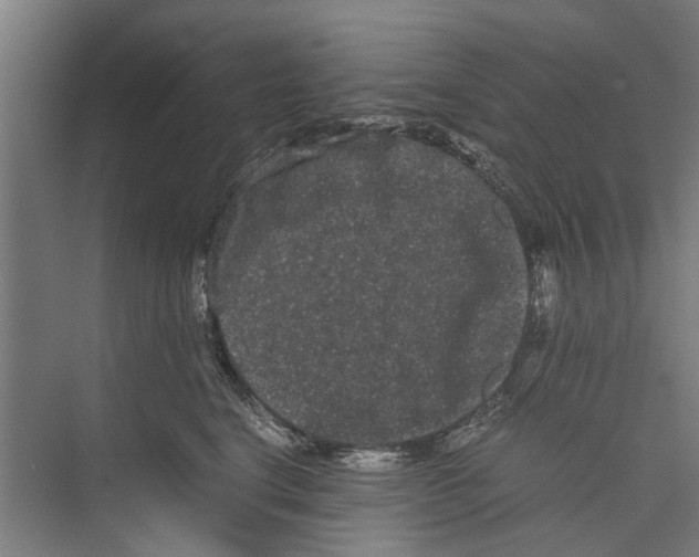 X0000071900664200608041344