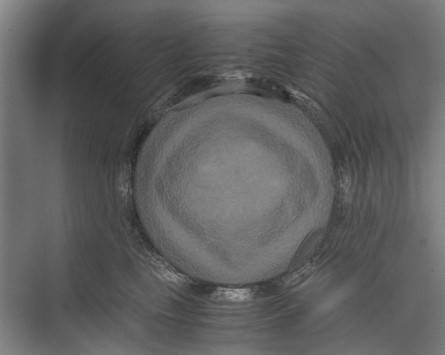 X0000071900665200608041344