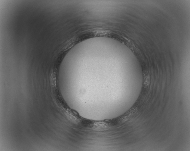 X0000071900666200608041344