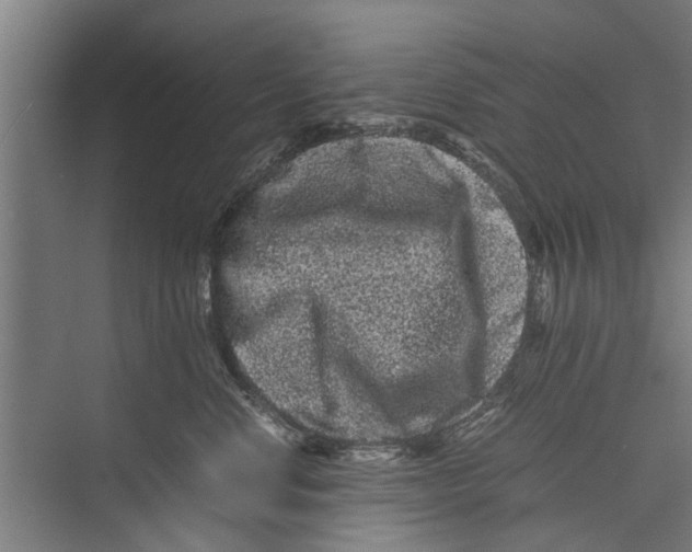 X0000071900668200608041344