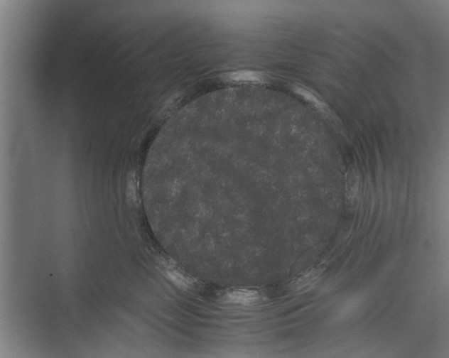 X0000071900669200608041344